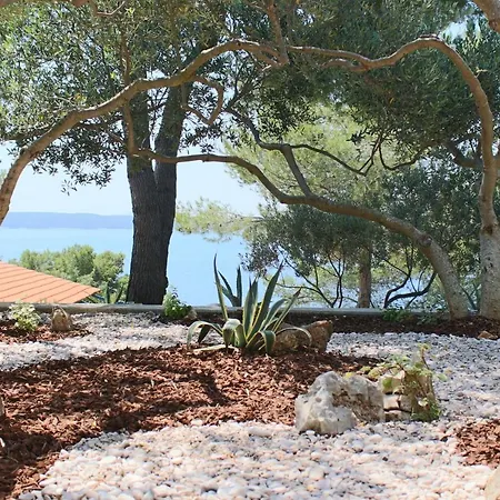 Seaside Secluded Zavala, Hvar - 15357 * Jelsa (Hvar)