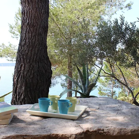 Seaside Secluded Zavala, Hvar - 15357 Lägenhet