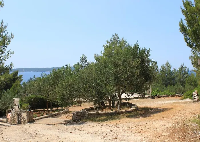 Seaside Secluded Zavala, Hvar - 15357 Jelsa (Hvar)